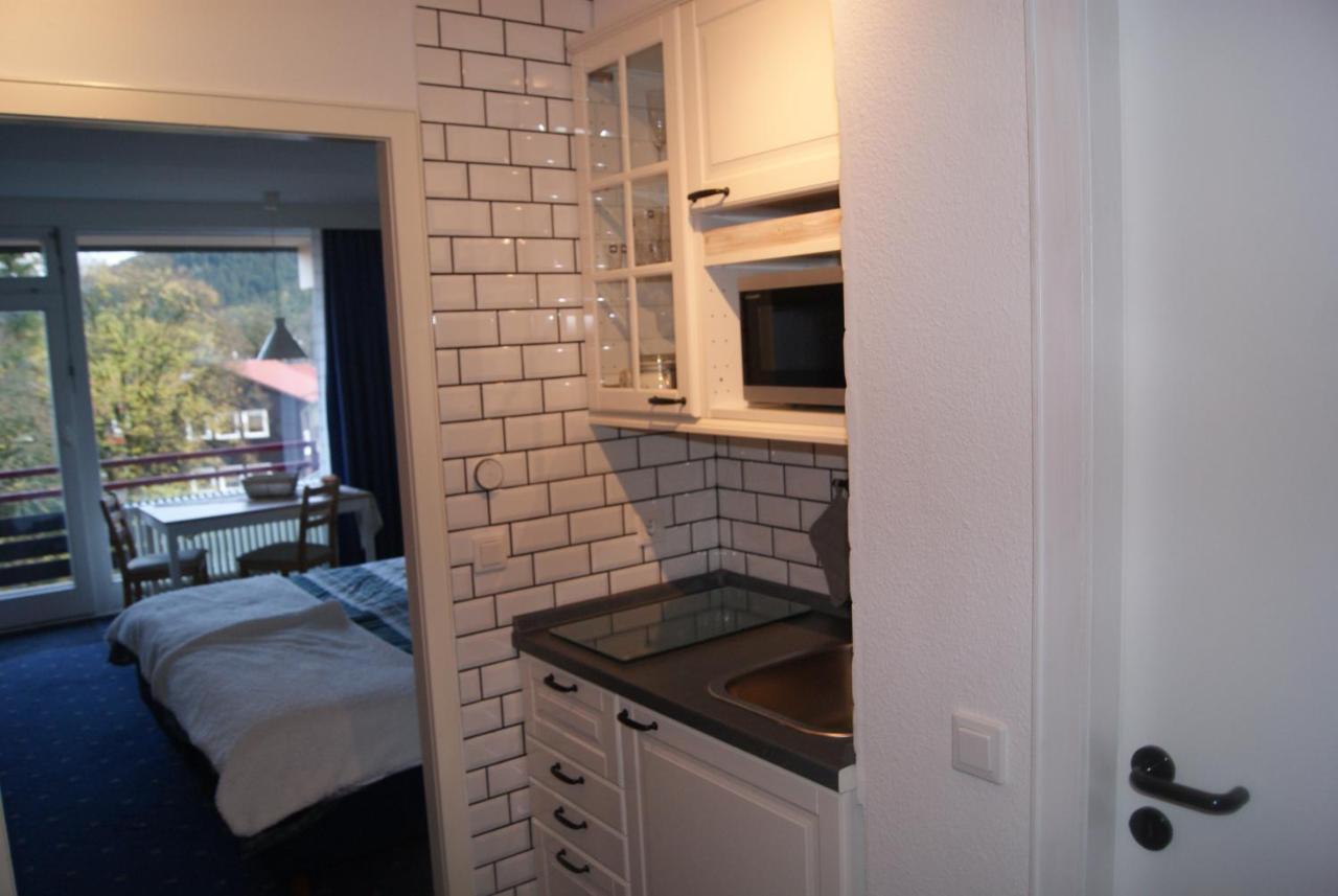 Bergblick471 Apartment Goslar Luaran gambar